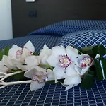 Hotel Draconerium 3*