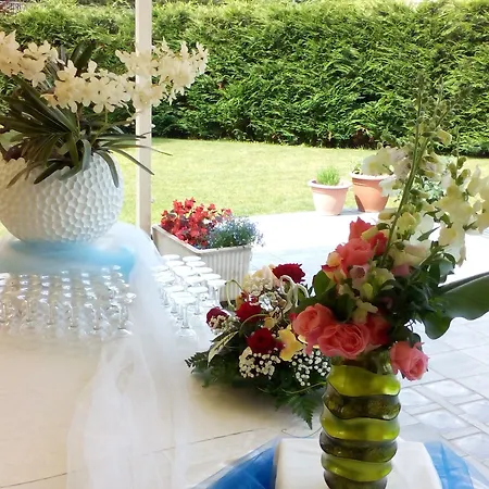 Draconerium 3* Dronero