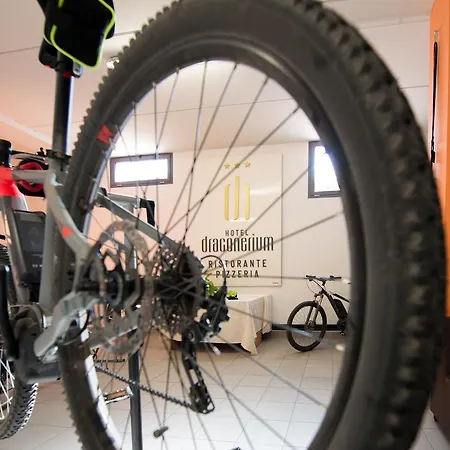 Draconerium 3* Dronero