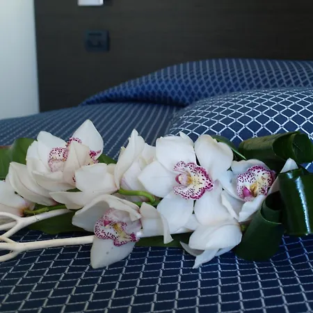 Hotel Draconerium 3*