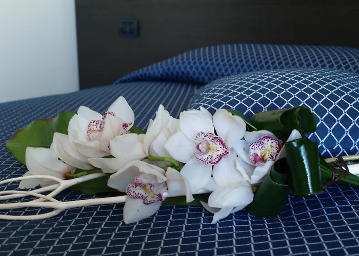 Ξενοδοχείο Draconerium 3*